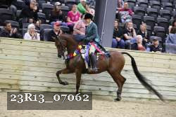 23R13_07062 thumbnail