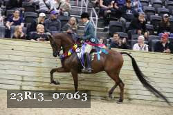 23R13_07063 thumbnail