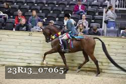 23R13_07065 thumbnail