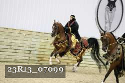 23R13_07099 thumbnail