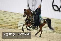23R13_07106 thumbnail