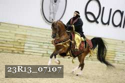 23R13_07107 thumbnail