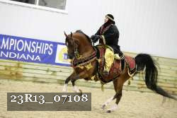 23R13_07108 thumbnail