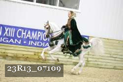 23R13_07109 thumbnail
