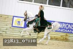 23R13_07110 thumbnail
