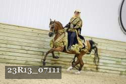 23R13_07111 thumbnail