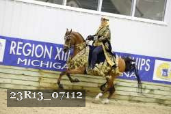 23R13_07112 thumbnail