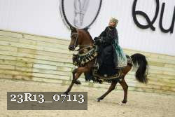 23R13_07113 thumbnail