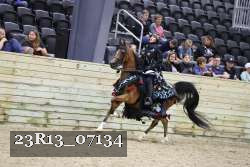 23R13_07134 thumbnail