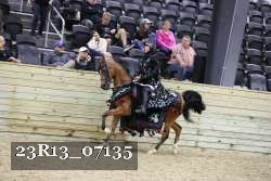 23R13_07135 thumbnail