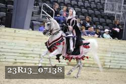 23R13_07138 thumbnail