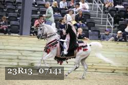 23R13_07141 thumbnail