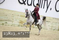 23R13_07177 thumbnail