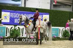 23R13_07193 thumbnail