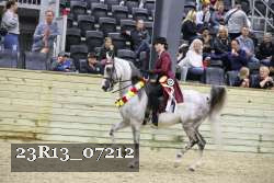23R13_07212 thumbnail