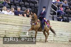 23R13_07214 thumbnail
