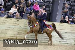 23R13_07216 thumbnail