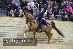 23R13_07217 thumbnail