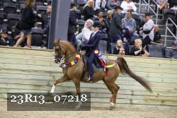 23R13_07218 thumbnail