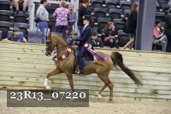 23R13_07220 thumbnail
