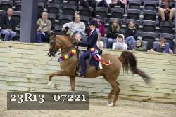 23R13_07221 thumbnail