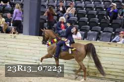 23R13_07223 thumbnail