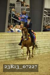 23R13_07227 thumbnail
