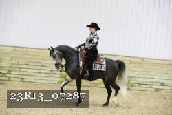 23R13_07287 thumbnail