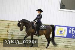 23R13_07291 thumbnail