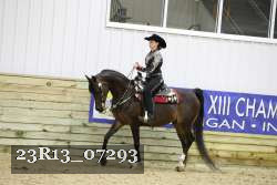 23R13_07293 thumbnail