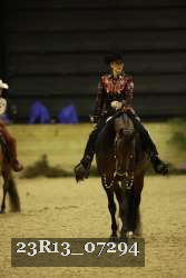 23R13_07294 thumbnail