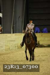 23R13_07300 thumbnail