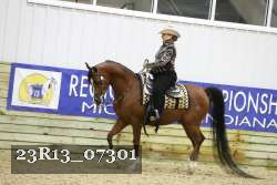 23R13_07301 thumbnail