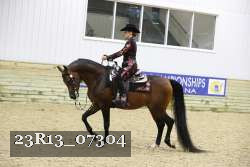 23R13_07304 thumbnail