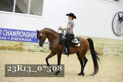 23R13_07308 thumbnail