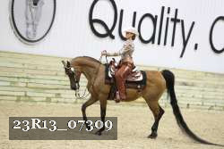 23R13_07309 thumbnail