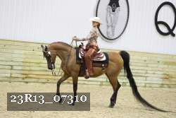 23R13_07310 thumbnail