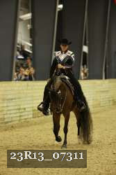 23R13_07311 thumbnail