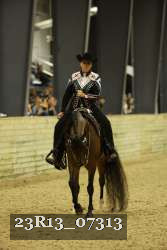 23R13_07313 thumbnail