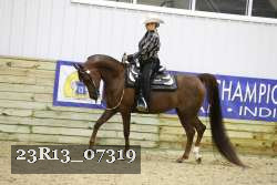 23R13_07319 thumbnail