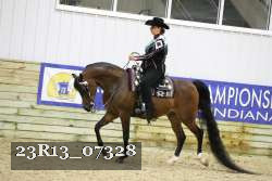 23R13_07328 thumbnail