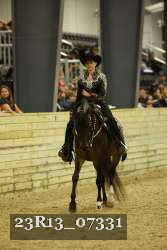 23R13_07331 thumbnail
