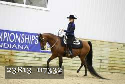 23R13_07332 thumbnail