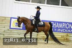 23R13_07334 thumbnail