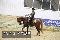 23R13_07338 thumbnail
