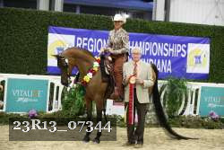 23R13_07344 thumbnail