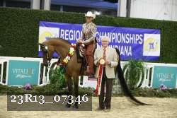 23R13_07346 thumbnail