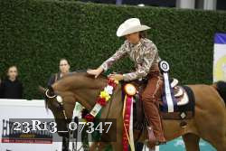 23R13_07347 thumbnail