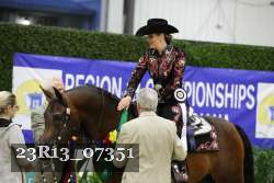 23R13_07351 thumbnail