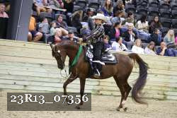 23R13_07356 thumbnail